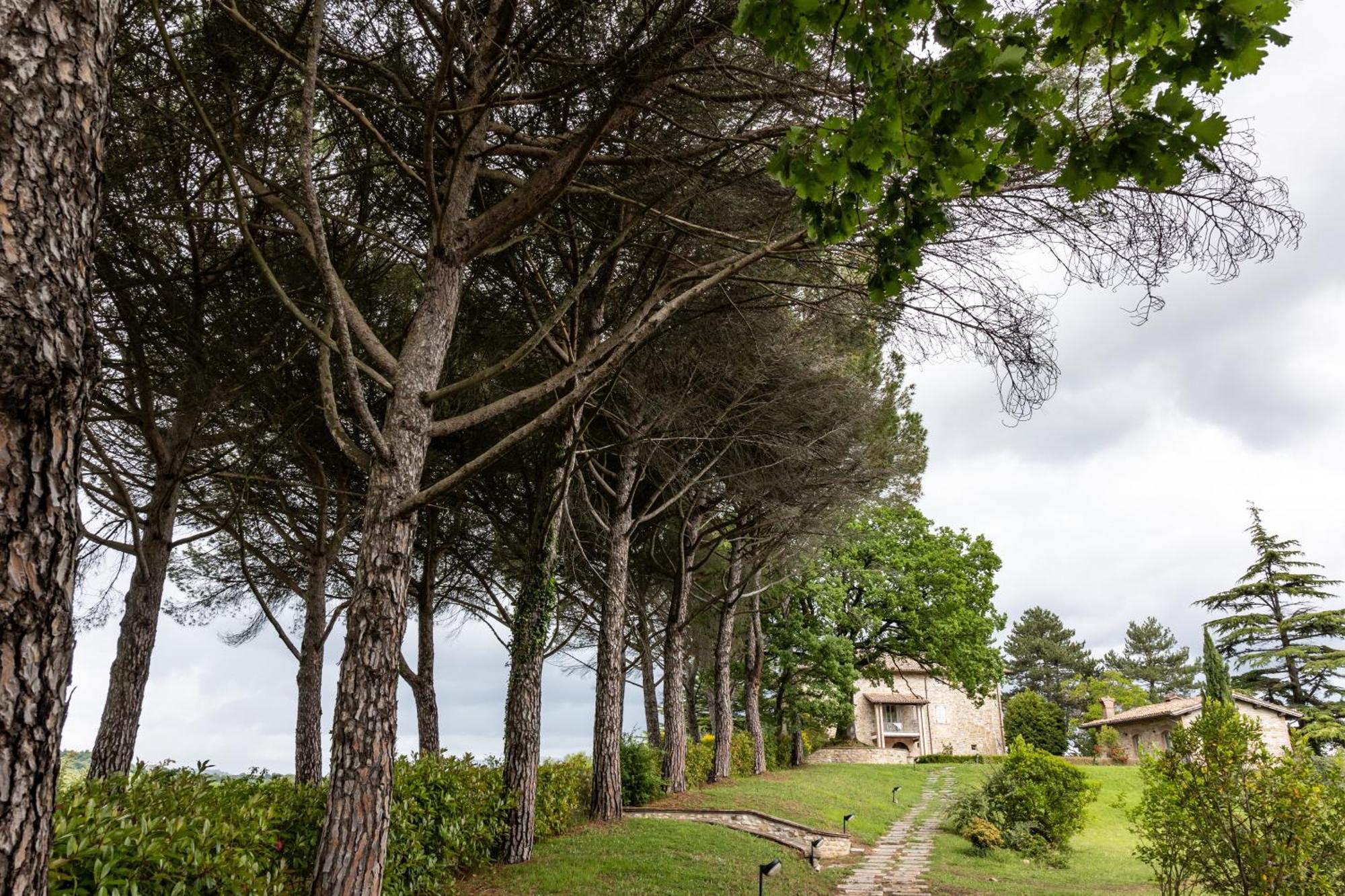 Tenuta Borgo San Michele Filey Ngoại thất bức ảnh