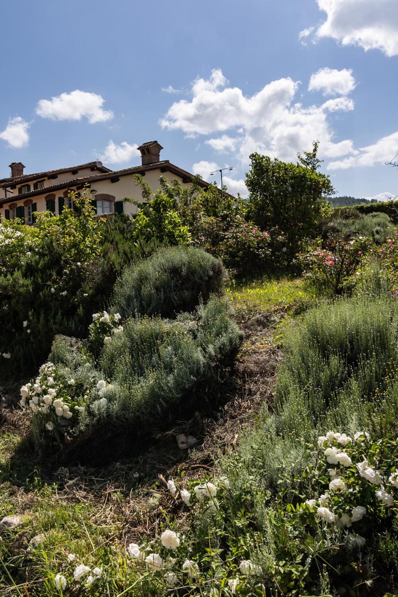 Tenuta Borgo San Michele Filey Ngoại thất bức ảnh